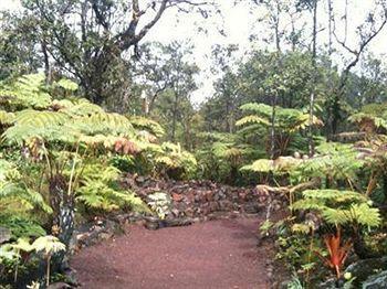 Volcano Rainforest Lodge Exterior foto